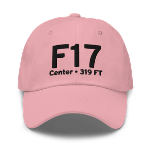 Center (KF17) Airport Hat