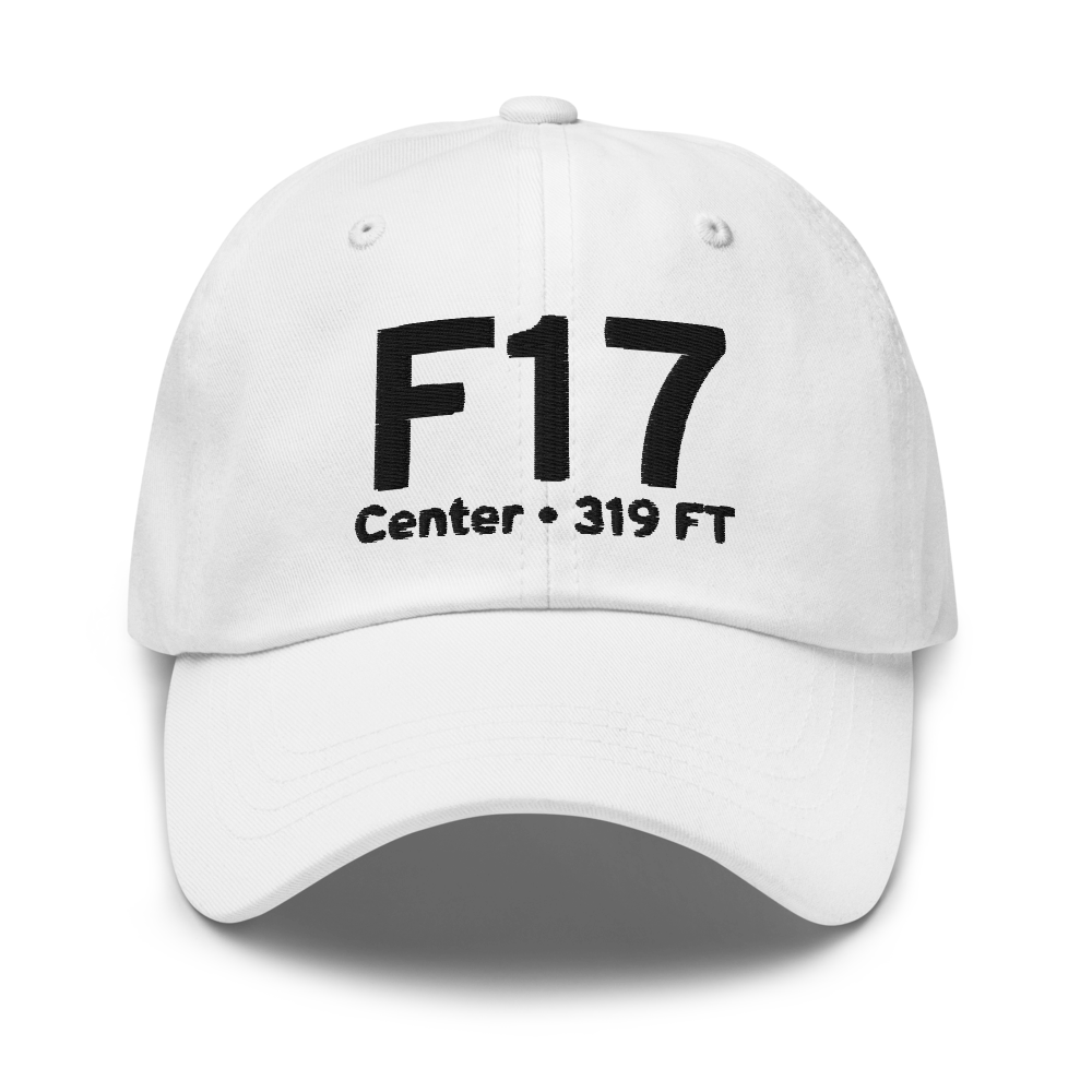 Center (KF17) Airport Hat 