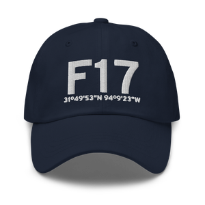 Center (KF17) Airport Hat