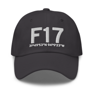 Center (KF17) Airport Hat