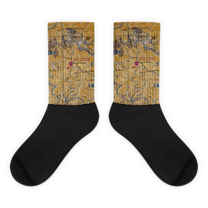 Mineral County Memorial Airport (C24) VFR Sectional Socks