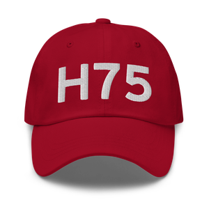 Hernando (H75) Airport Hat