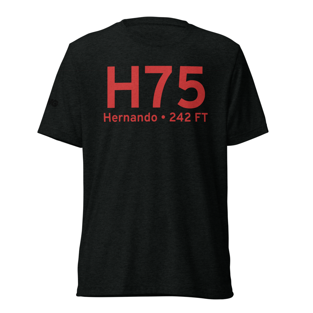 Hernando (H75) Airport Tri-blend T-Shirt 