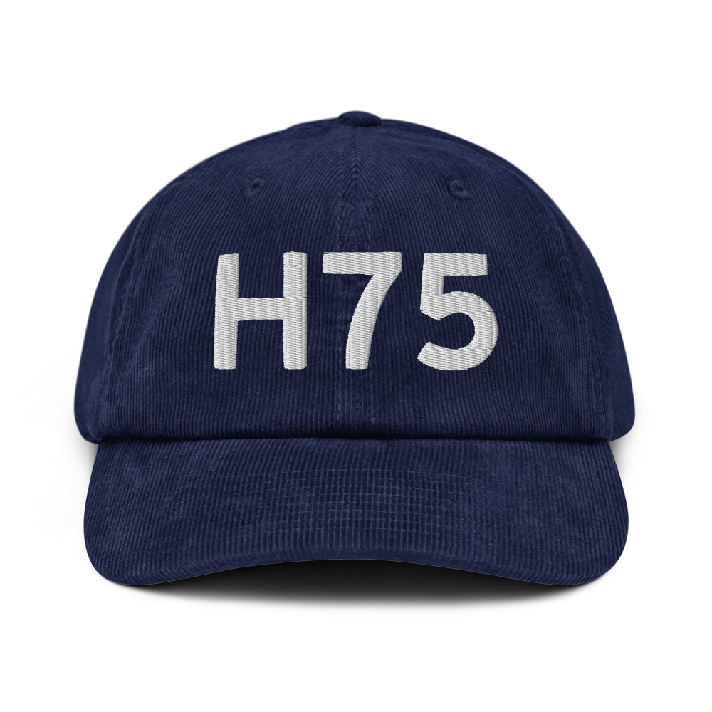 Hernando (H75) Airport Hat 