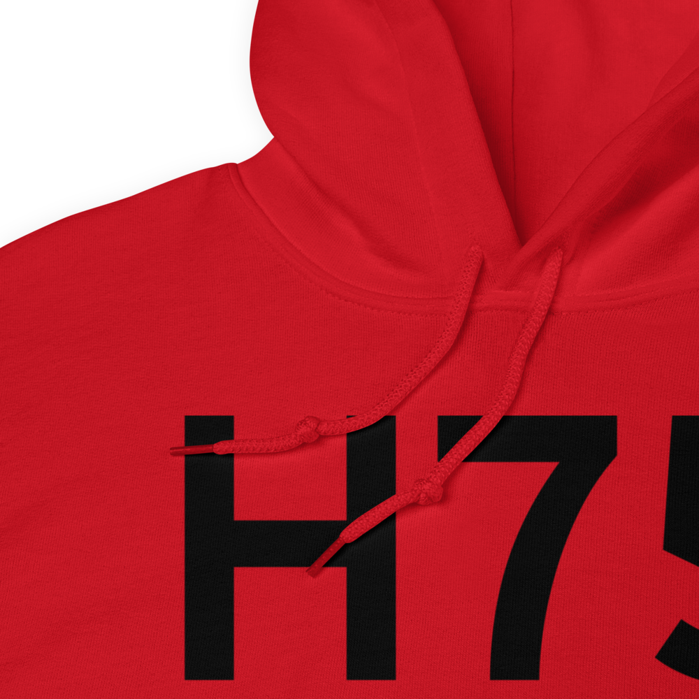 Hernando (H75) Airport Hoodie Sweatshirt 