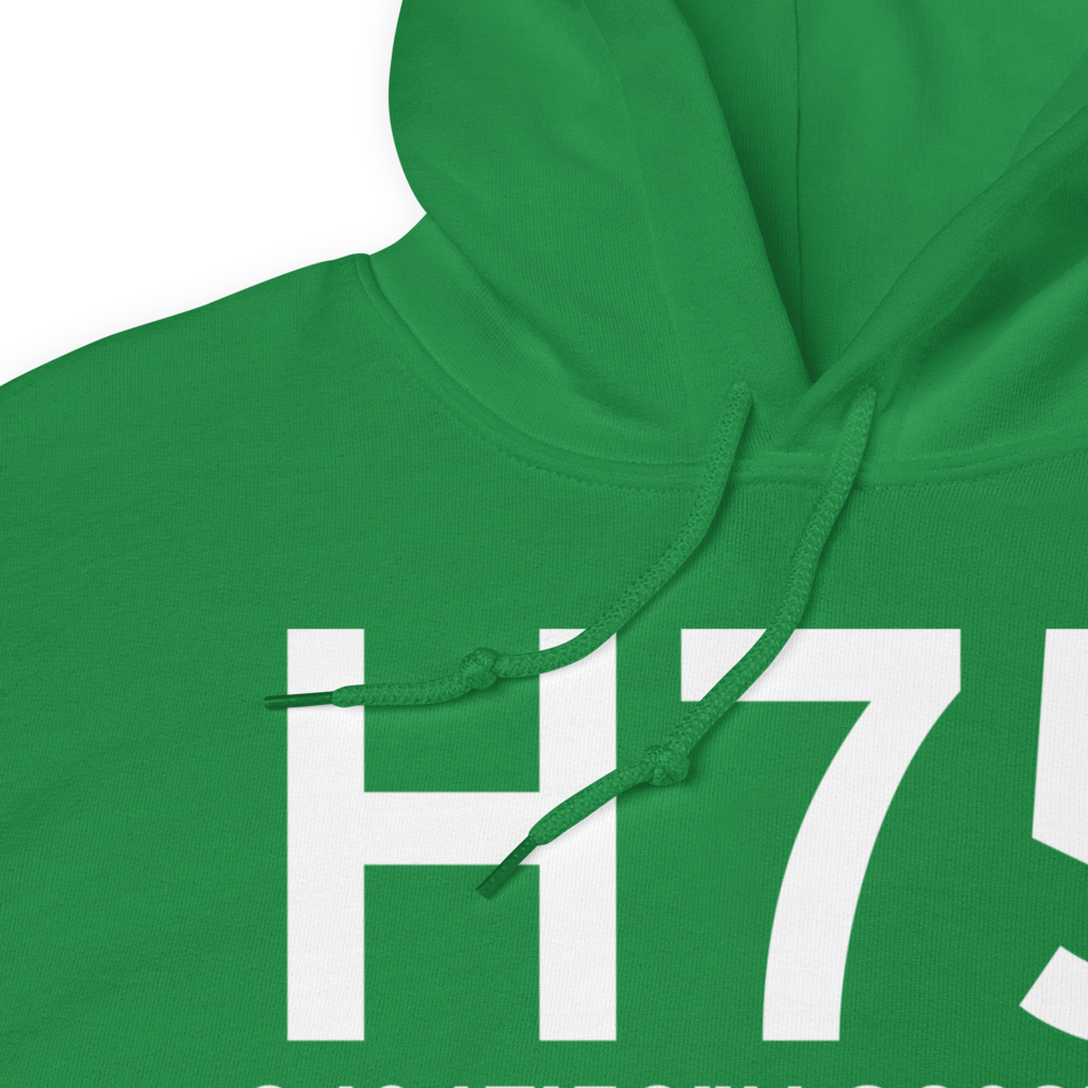 Hernando (H75) Airport Hoodie Sweatshirt 