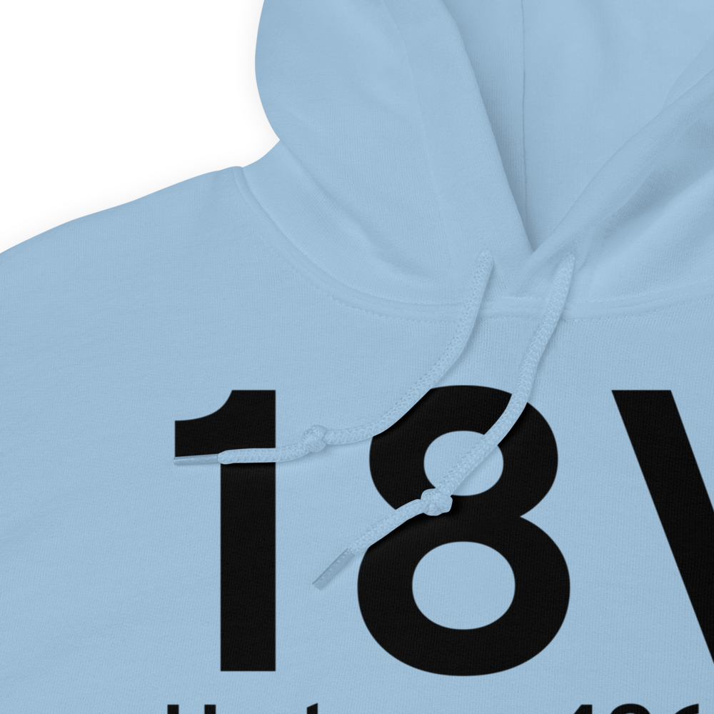 Hudson (K18V) Airport Hoodie Sweatshirt 