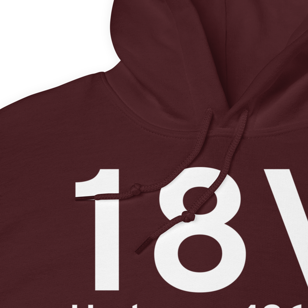 Hudson (K18V) Airport Hoodie Sweatshirt 