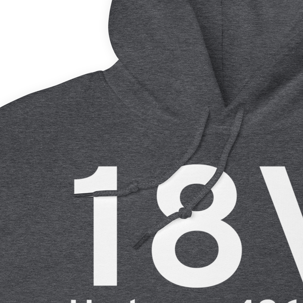 Hudson (K18V) Airport Hoodie Sweatshirt 