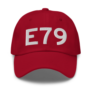 Fresno (E79) Airport Hat