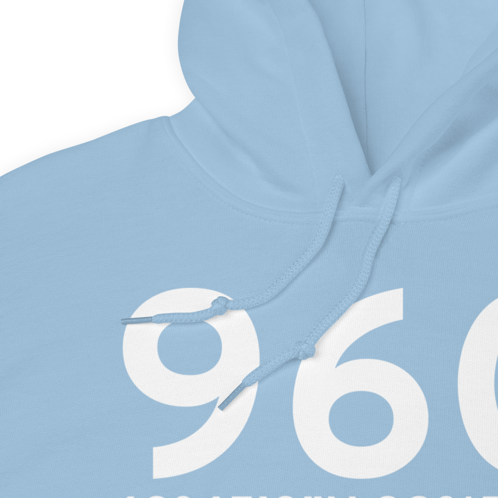 Rochester (96C) Airport Hoodie Sweatshirt 
