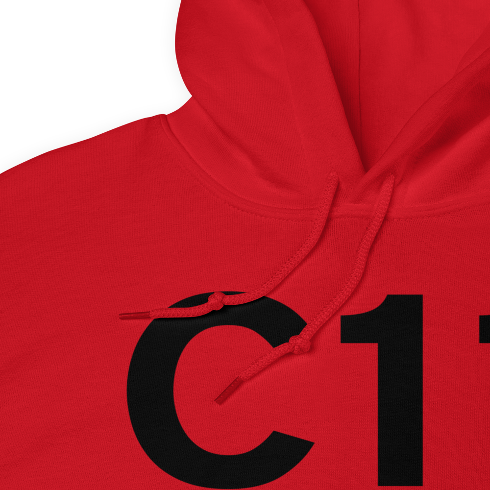 Amana (C11) Airport Hoodie Sweatshirt 