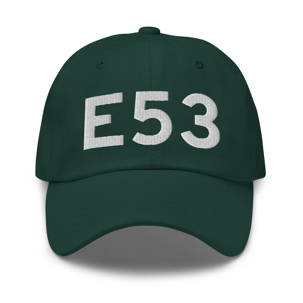 Bad Axe (E53) Airport Hat 