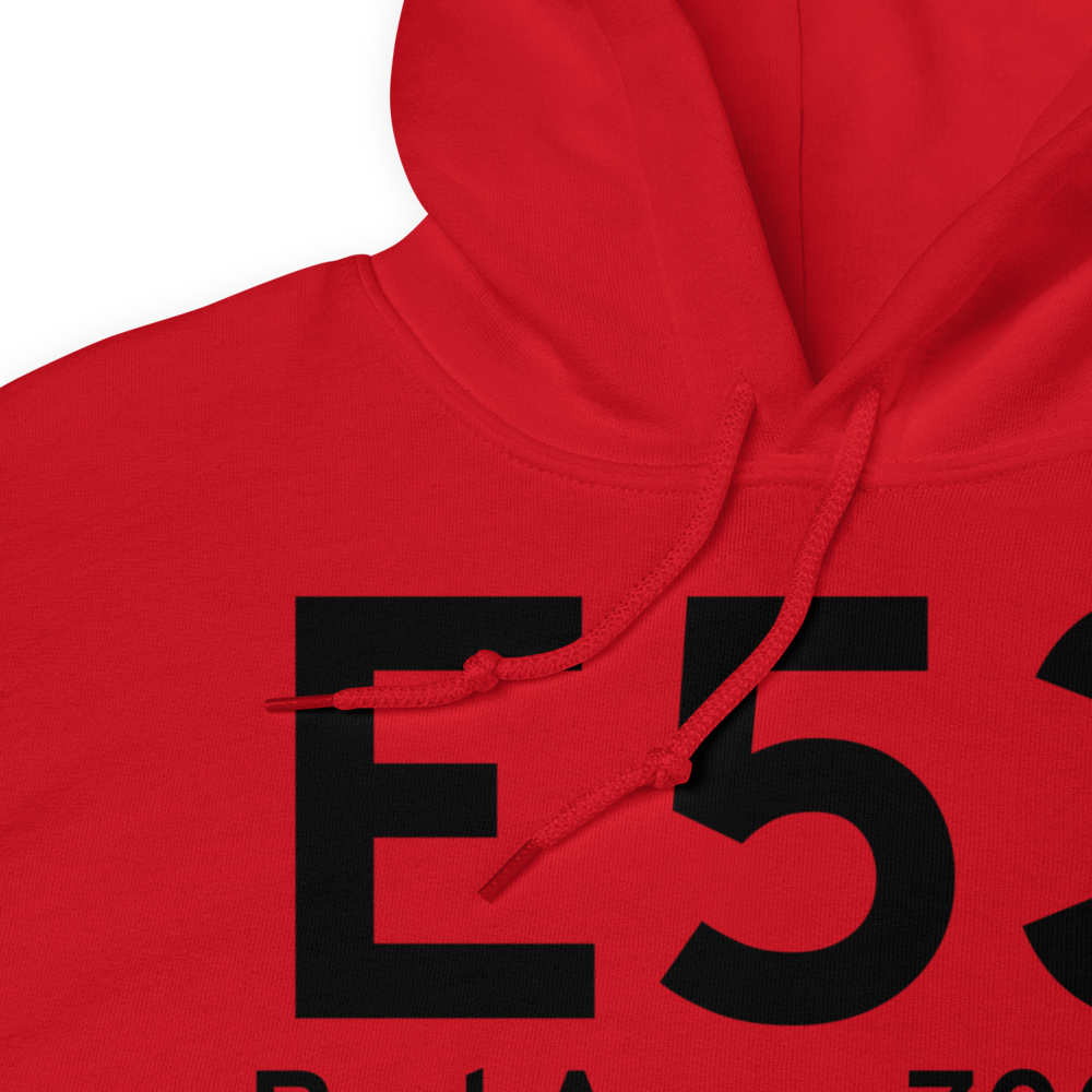 Bad Axe (E53) Airport Hoodie Sweatshirt 