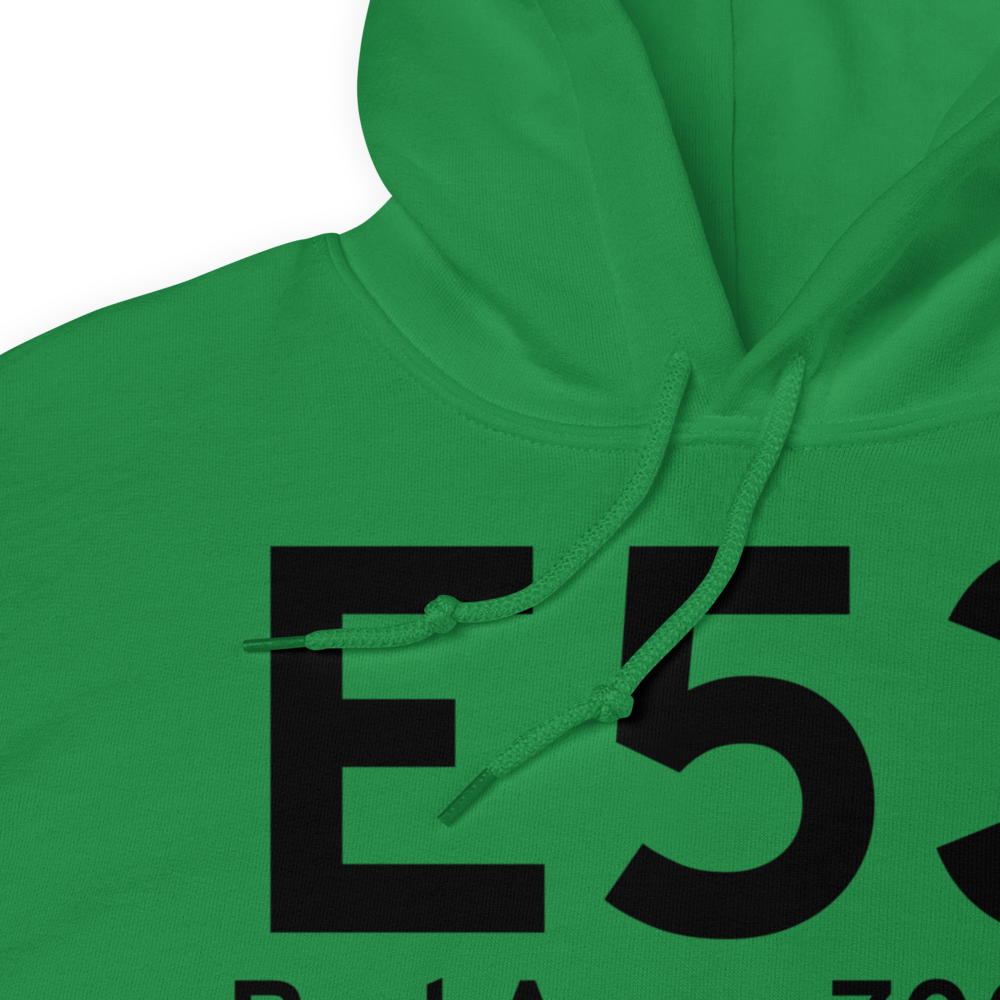 Bad Axe (E53) Airport Hoodie Sweatshirt 