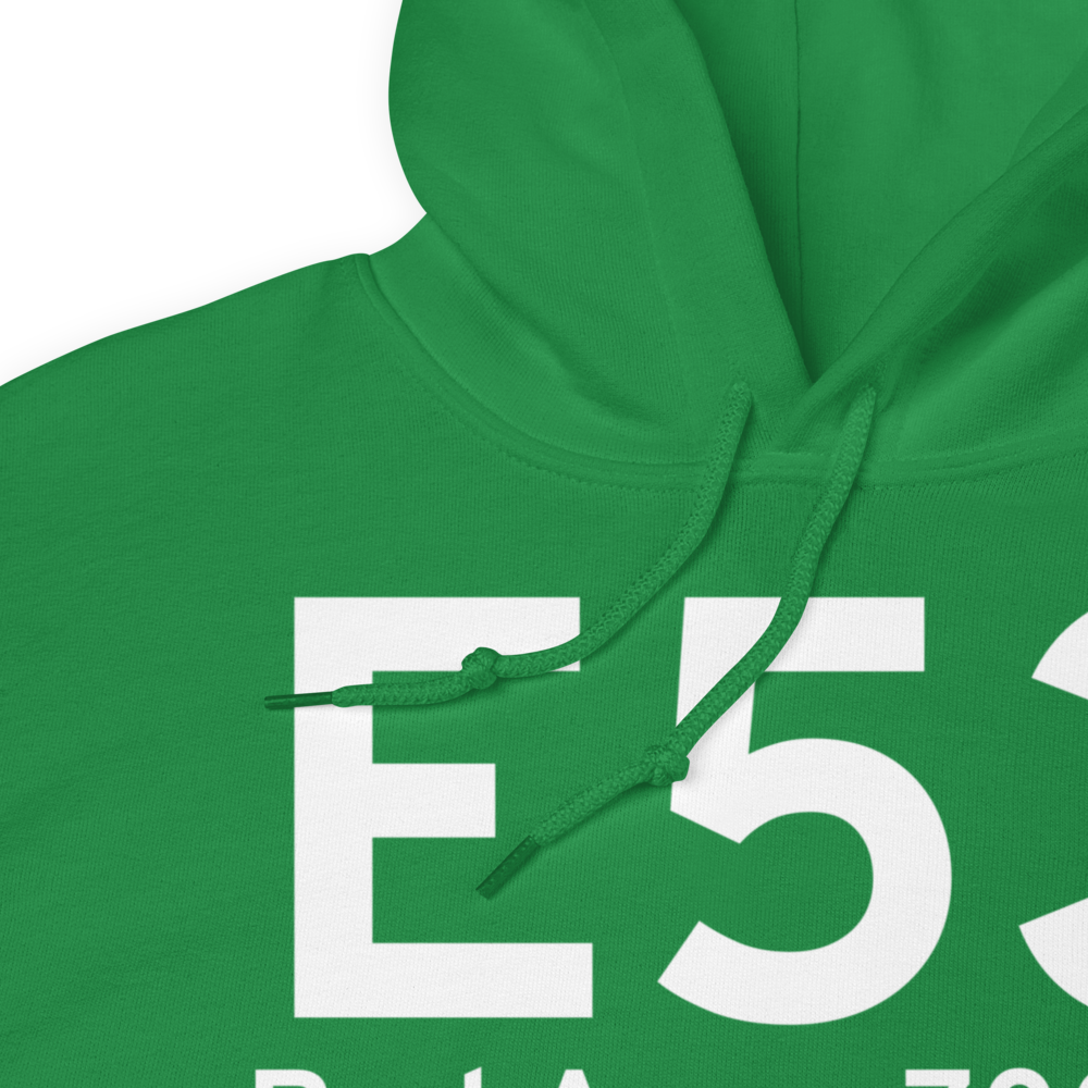 Bad Axe (E53) Airport Hoodie Sweatshirt 