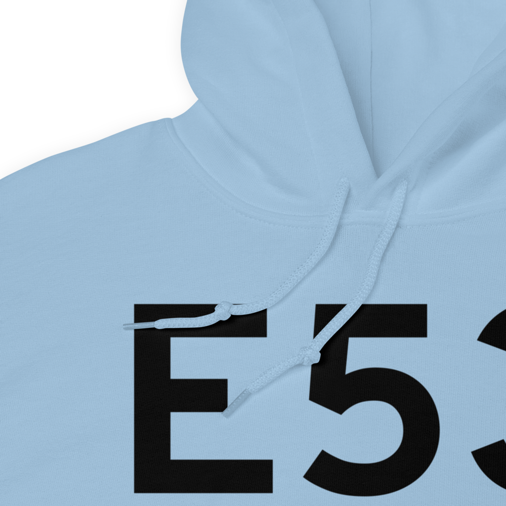 Bad Axe (E53) Airport Hoodie Sweatshirt 
