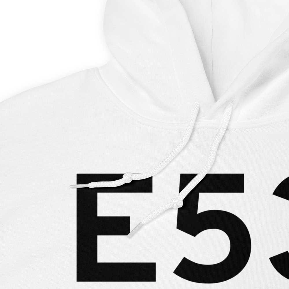 Bad Axe (E53) Airport Hoodie Sweatshirt 