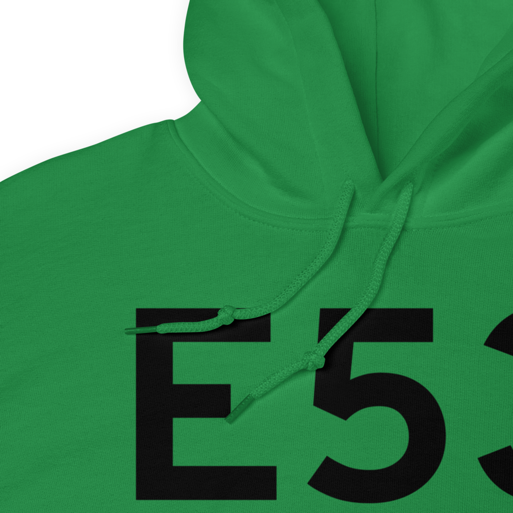 Bad Axe (E53) Airport Hoodie Sweatshirt 