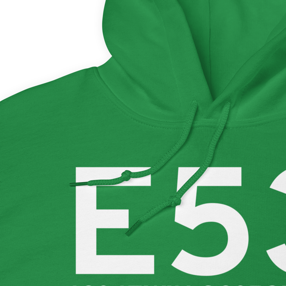 Bad Axe (E53) Airport Hoodie Sweatshirt 