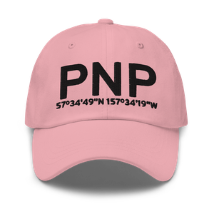 Pilot Point (PAPN) Airport Hat