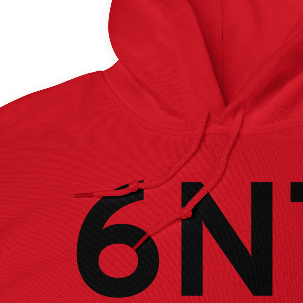 New York (6N7) Airport Hoodie Sweatshirt 