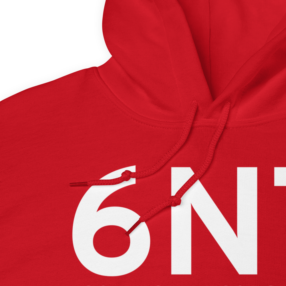 New York (6N7) Airport Hoodie Sweatshirt 