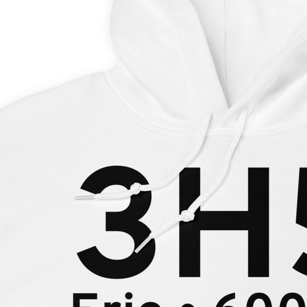 Erie (3H5) Airport Hoodie Sweatshirt 