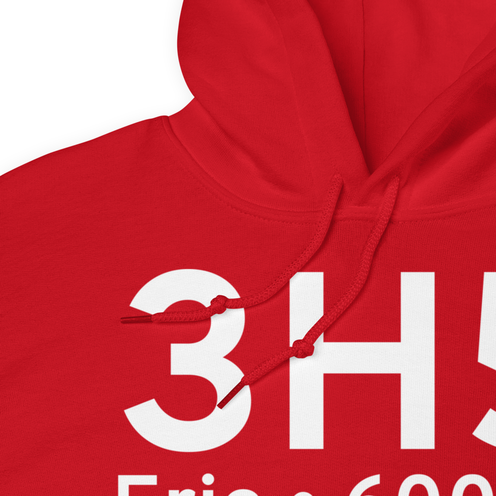 Erie (3H5) Airport Hoodie Sweatshirt 