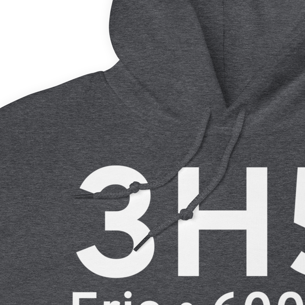 Erie (3H5) Airport Hoodie Sweatshirt 
