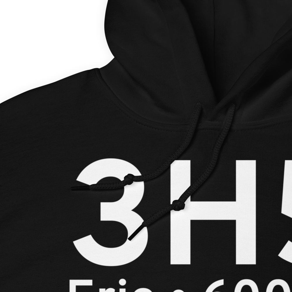 Erie (3H5) Airport Hoodie Sweatshirt 