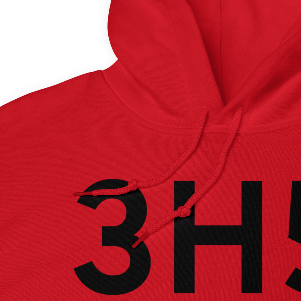 Erie (3H5) Airport Hoodie Sweatshirt 
