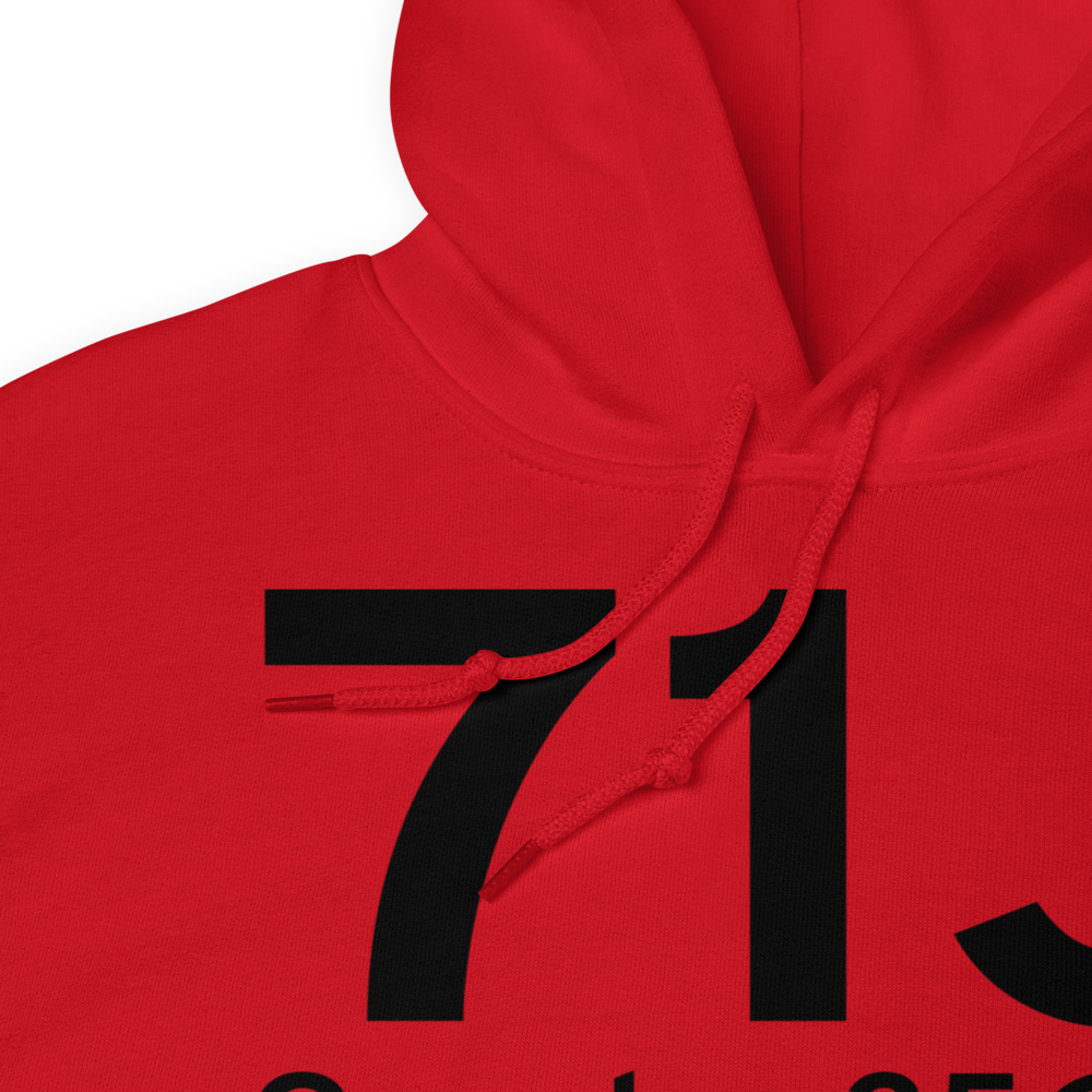 Ozark (K71J) Airport Hoodie Sweatshirt 