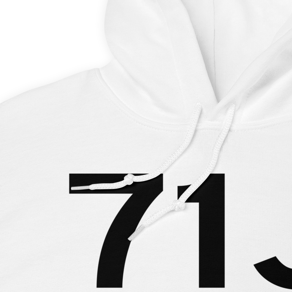 Ozark (K71J) Airport Hoodie Sweatshirt 