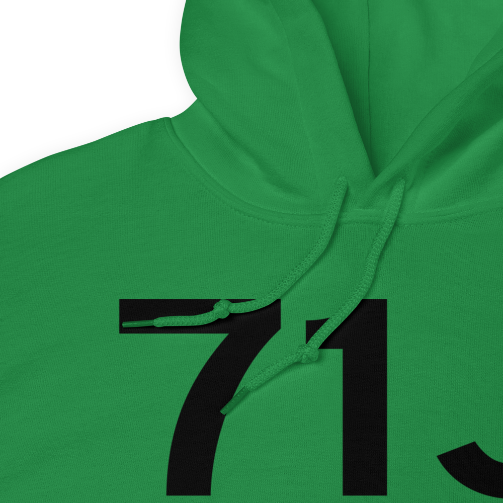 Ozark (K71J) Airport Hoodie Sweatshirt 