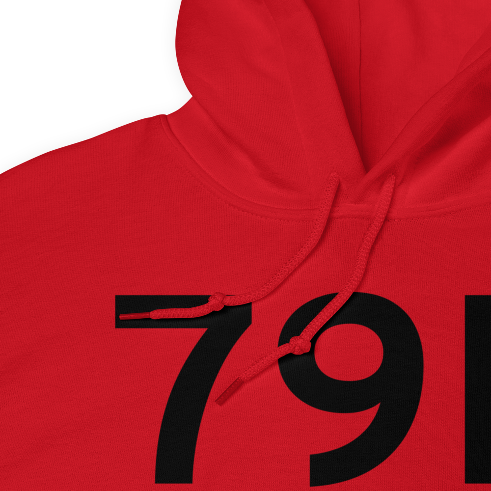 Afton (79F) Airport Hoodie Sweatshirt 