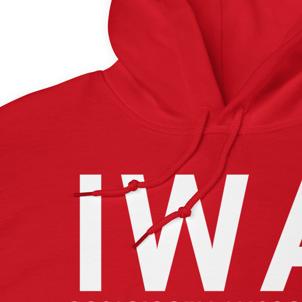 Phoenix (KIWA) Airport Hoodie Sweatshirt 