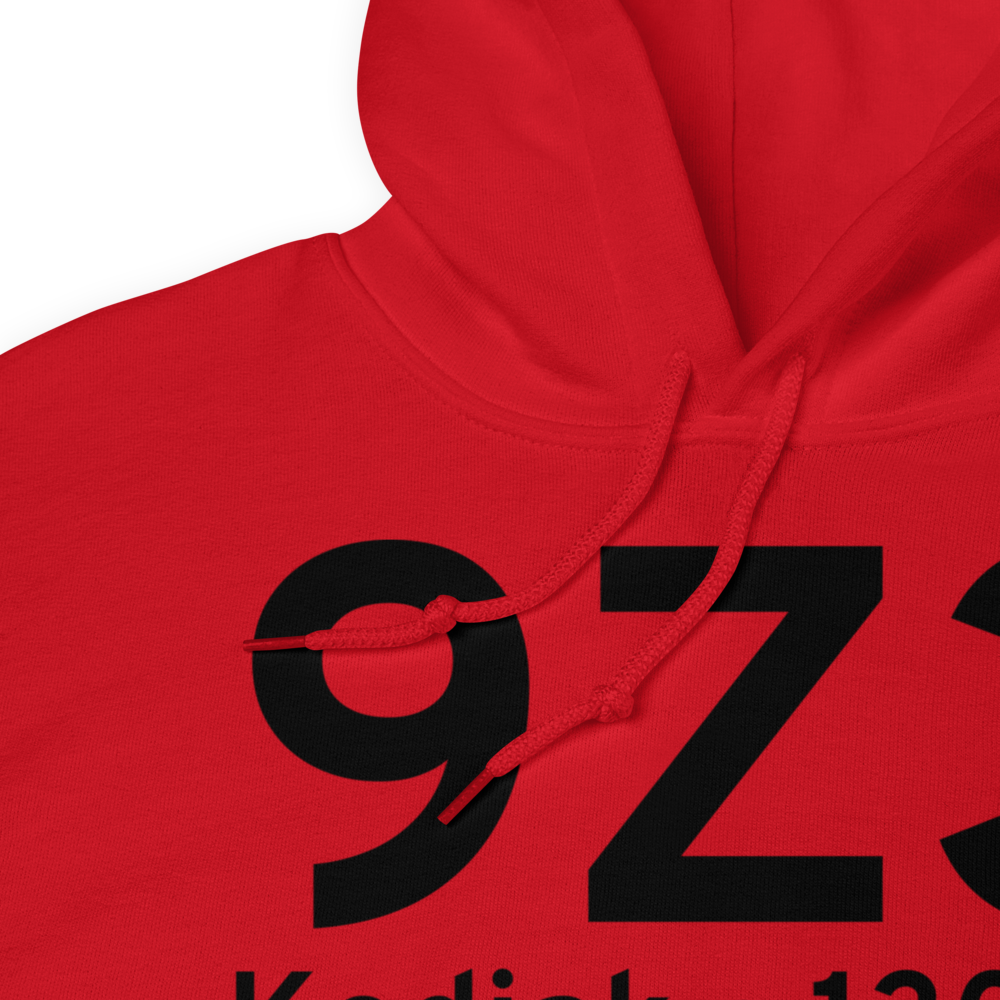 Kodiak (9Z3) Airport Hoodie Sweatshirt 
