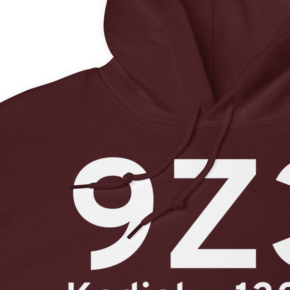 Kodiak (9Z3) Airport Hoodie Sweatshirt 