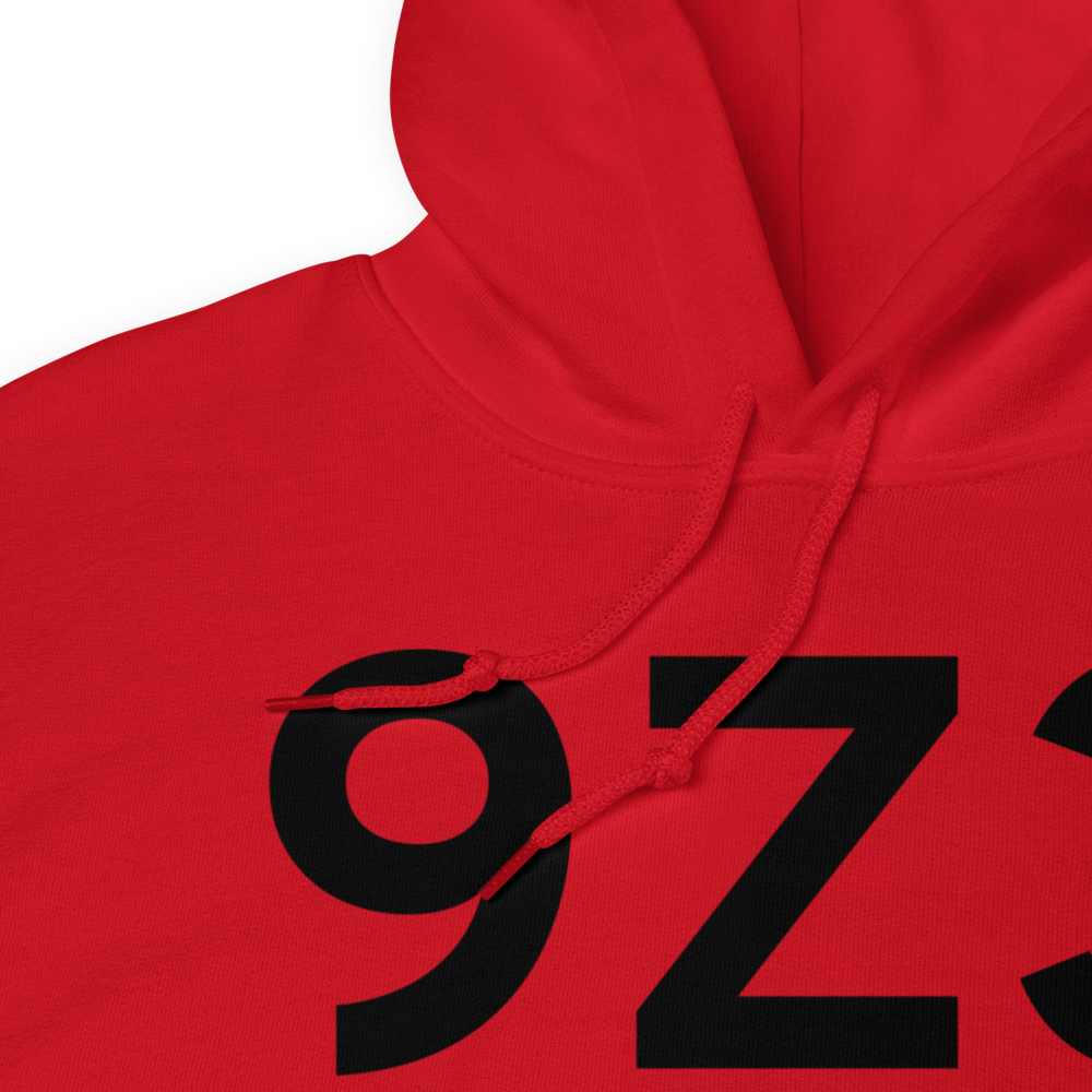 Kodiak (9Z3) Airport Hoodie Sweatshirt 