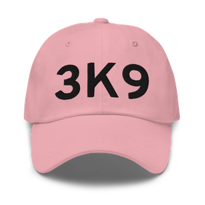 Wasilla (3K9) Airport Hat