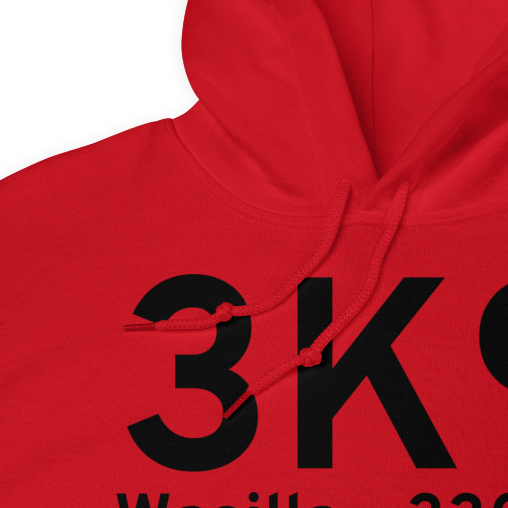 Wasilla (3K9) Airport Hoodie Sweatshirt 