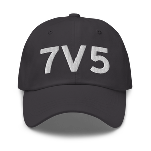 Brush (K7V5) Airport Hat