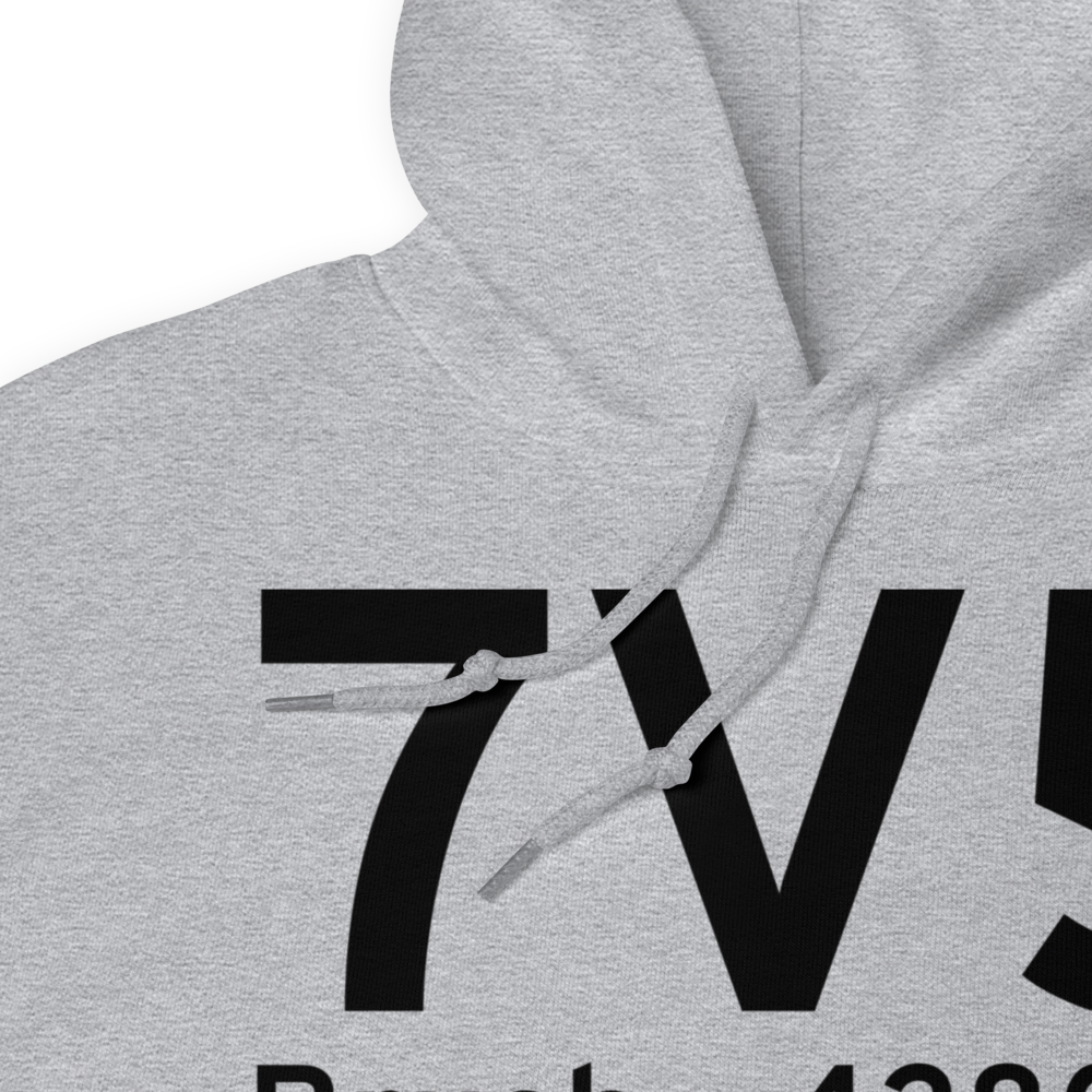 Brush (K7V5) Airport Hoodie Sweatshirt 