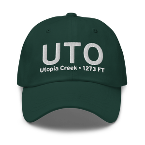 Utopia Creek (PAIM) Airport Hat