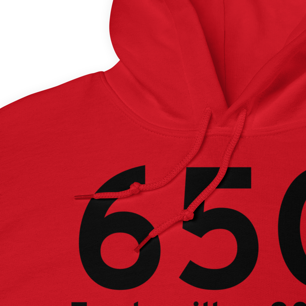 Fowlerville (65G) Airport Hoodie Sweatshirt 