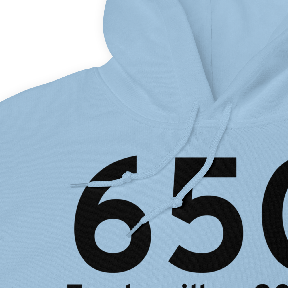 Fowlerville (65G) Airport Hoodie Sweatshirt 