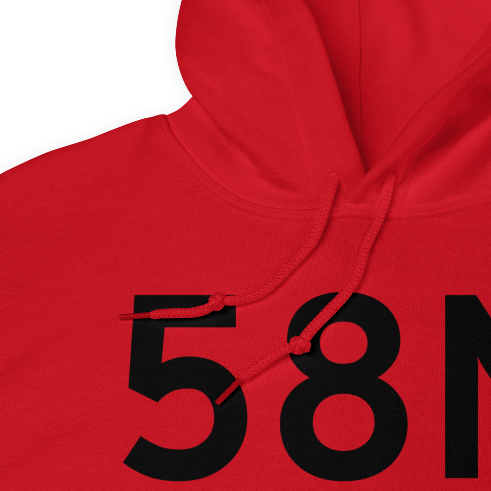 Palmyra (58N) Airport Hoodie Sweatshirt 