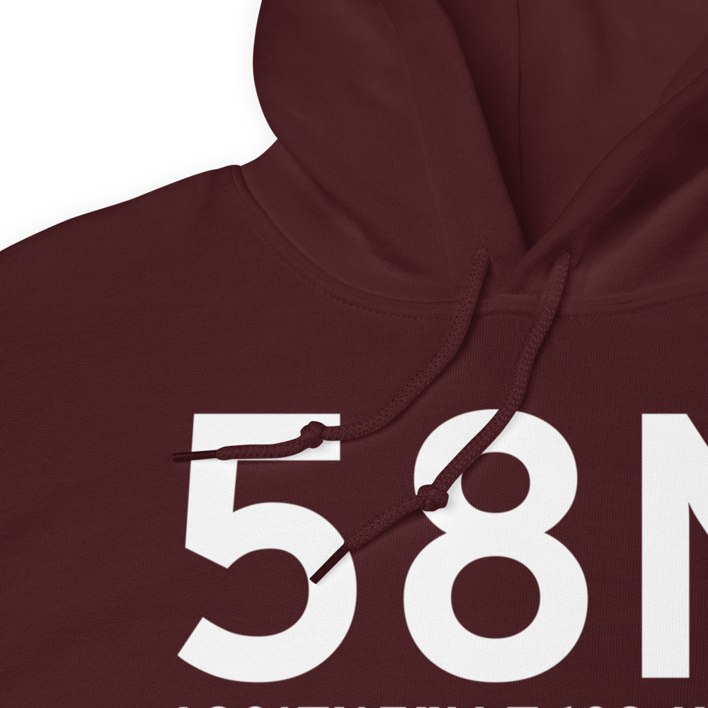 Palmyra (58N) Airport Hoodie Sweatshirt 