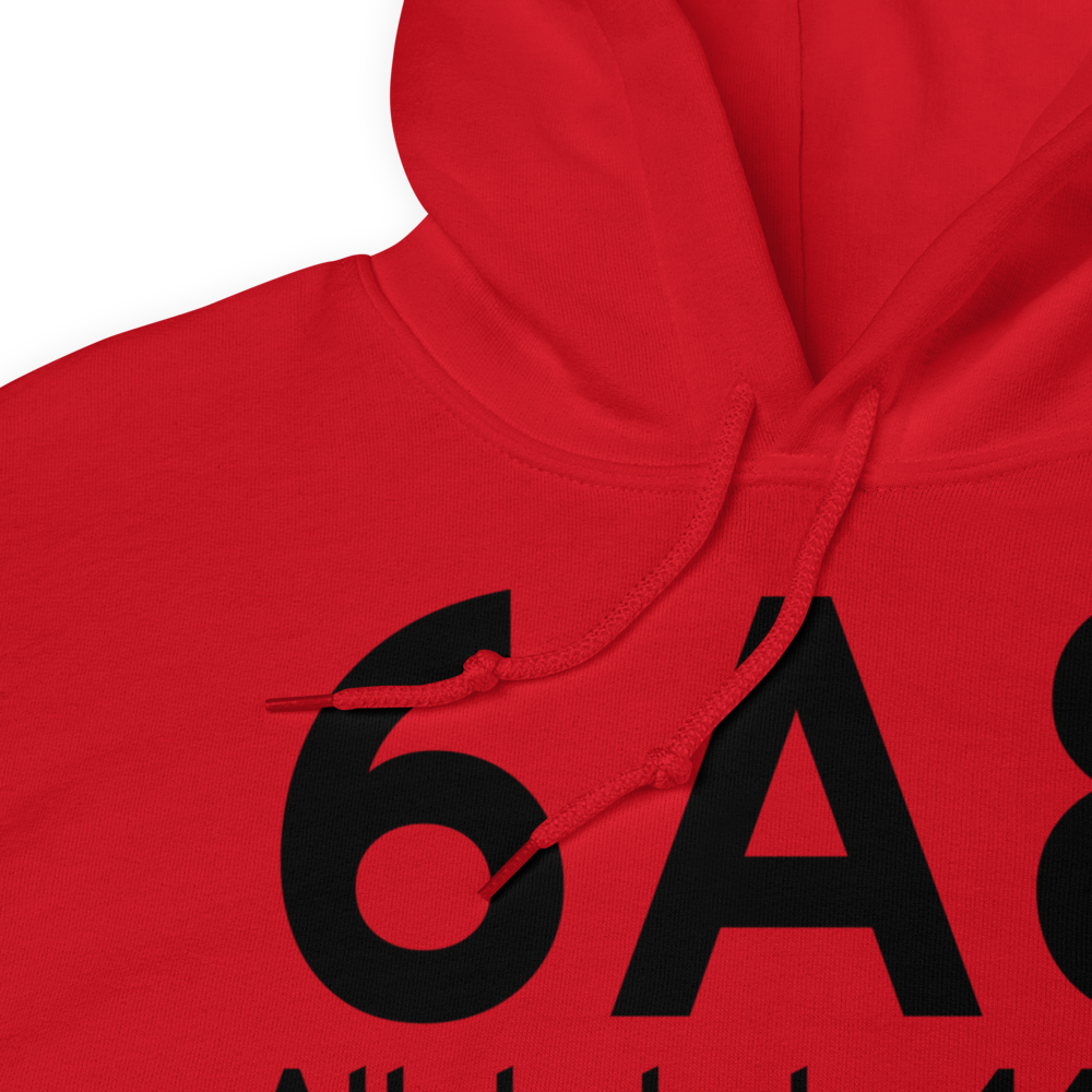 Allakaket (PFAL) Airport Hoodie Sweatshirt 